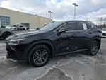2023 Lexus NX 350 Premium AWD
