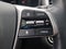 2019 Kia Sorento SX Limited V6 AWD