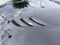 2022 Alfa Romeo Stelvio Quadrifoglio AWD