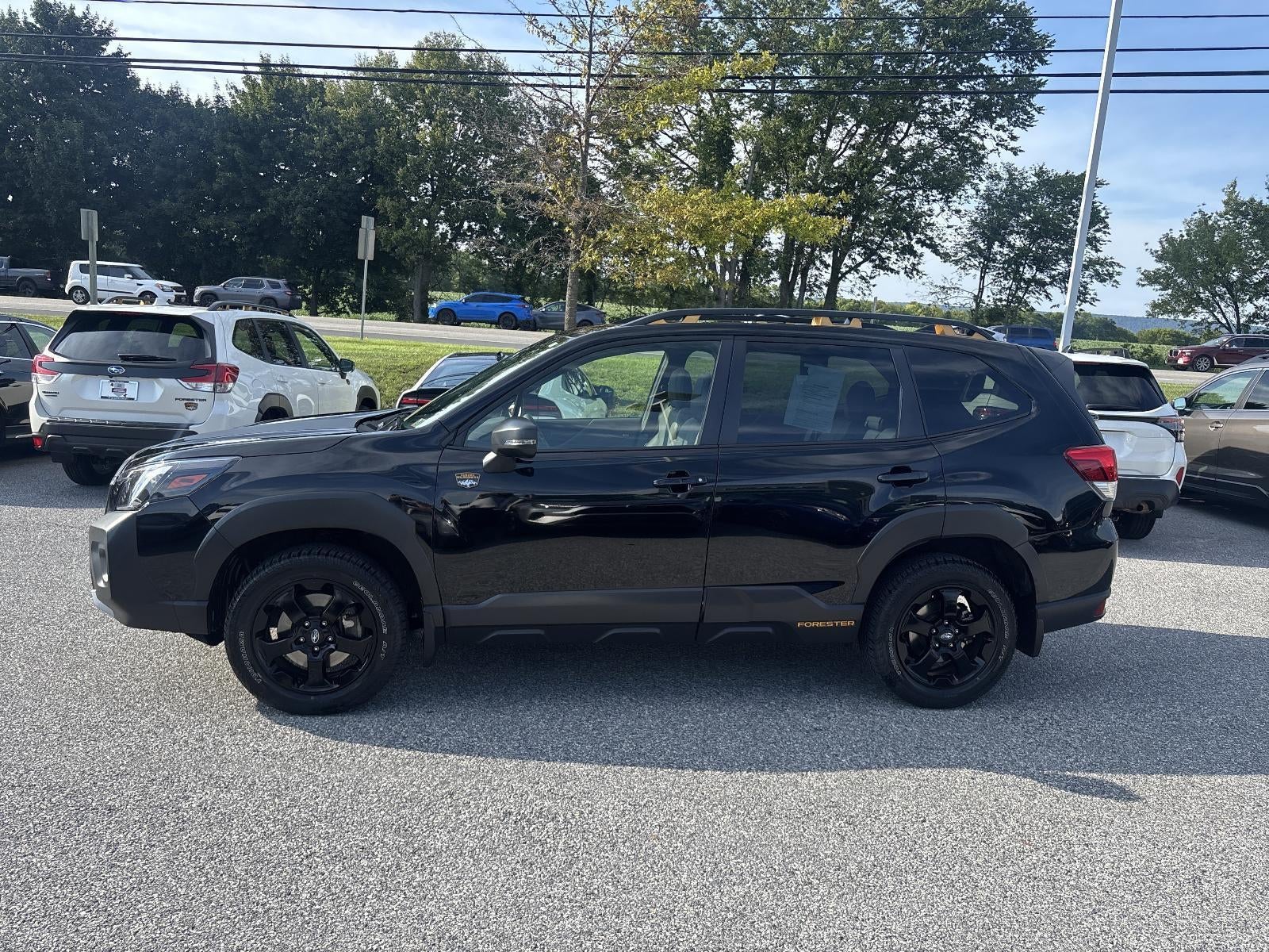 2024 Subaru Forester Wilderness AWD
