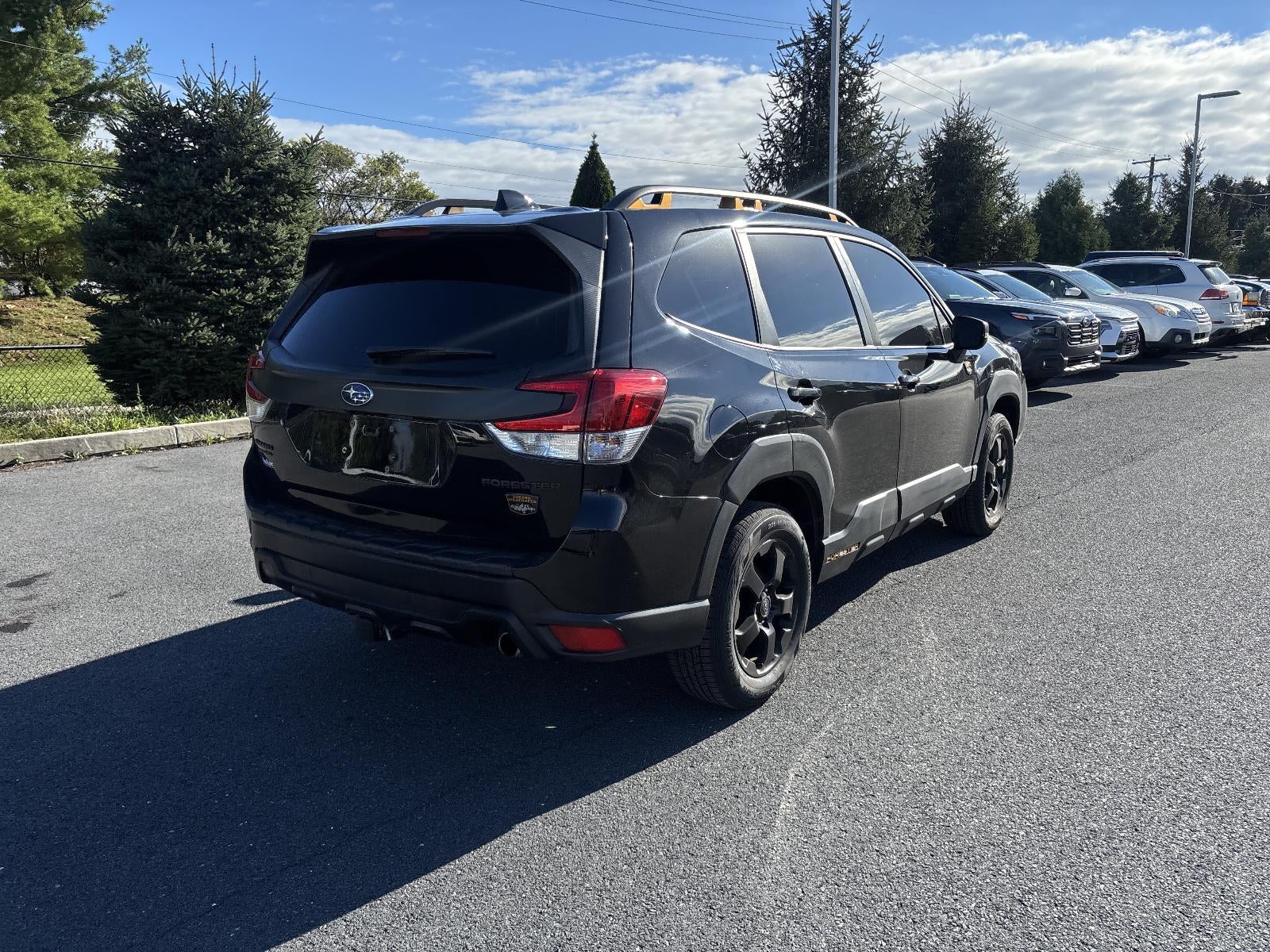 2023 Subaru Forester Wilderness CVT