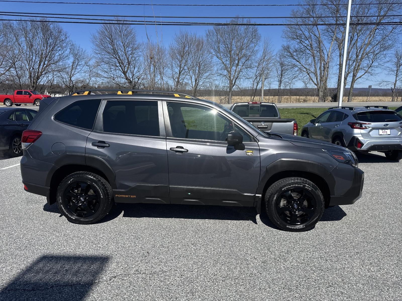 2023 Subaru Forester Wilderness CVT