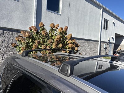 2022 Hyundai SANTA FE Hybrid SEL Premium AWD