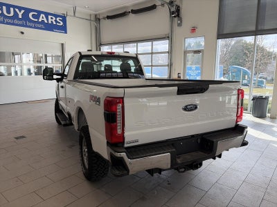 2024 Ford Super Duty F-250 SRW XL 4WD Reg Cab 8' Box