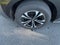 2024 Toyota bZ4X XLE AWD (Natl)