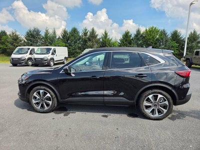 2024 Ford Escape Platinum AWD