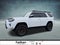 2016 Toyota 4Runner 4WD 4dr V6 SR5 (GS)